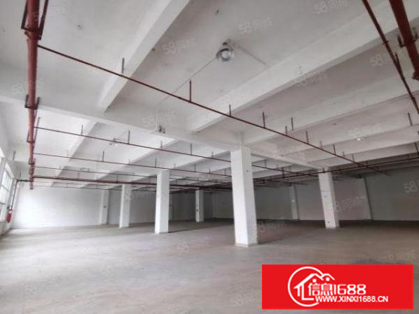 布吉一楼1250平方米带卸货平台厂房出租带消防喷淋进出货方便