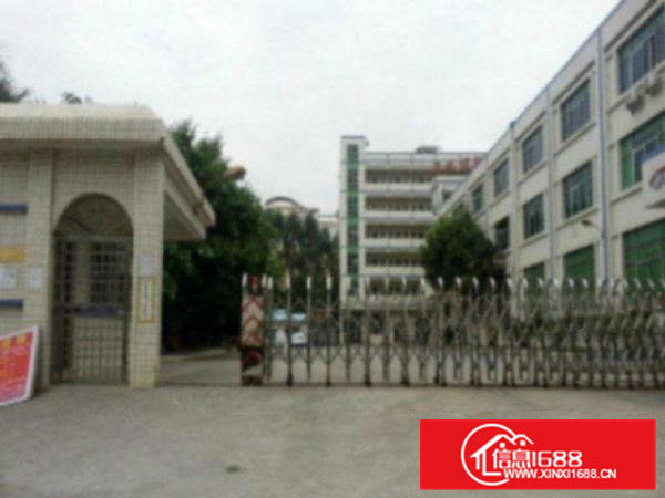 高埗新出独门独院标准厂房6500平方靠主干道，离高速口近