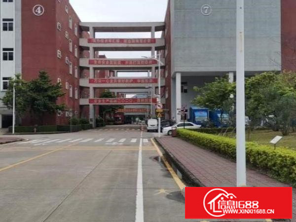 大浪百丽带精装修招租