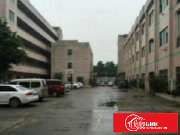 高埗环城路边独院标准楼房1栋3层6500平方出租水电线路齐全