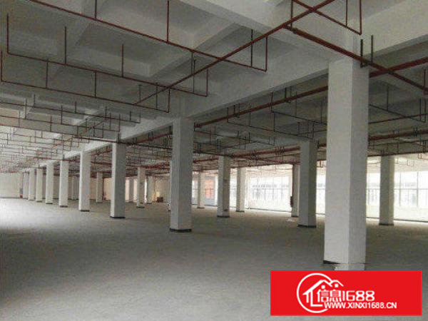 常平还珠沥村附近1至3层独院厂房3000平方带办公室装修