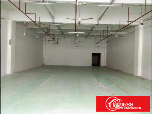 坪山三洋湖新出楼上标准厂房500平方出租