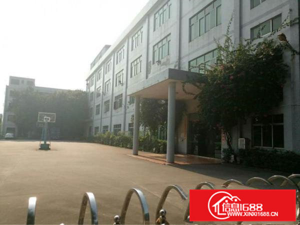 高埗镇冼沙原房东分租一楼2000平方