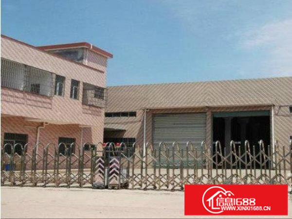 陈江独院厂房1300钢构厂房