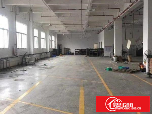 新出标准一楼厂房2000方六米高水电办公室齐全适合做朔胶