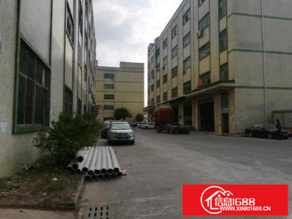 坑梓大工业区新出厂房一楼二楼各1200平方出租带装修，可分租