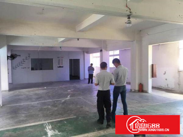 塘厦石鼓600平方米豪华办公室楼上标准厂房 电子厂 临石马