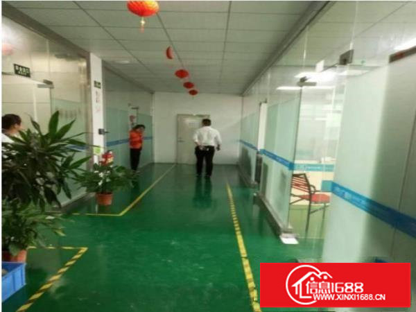 独院厂房新空楼上860平方租16块