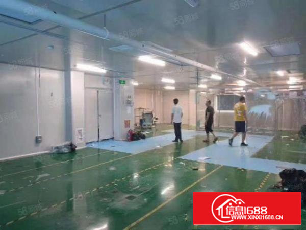 沙井新出无尘车间实际面积800平出租价格便宜
