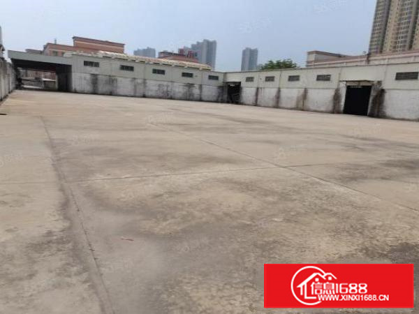 茶山原房东超大空地单一层独院正规工业用地厂房招租