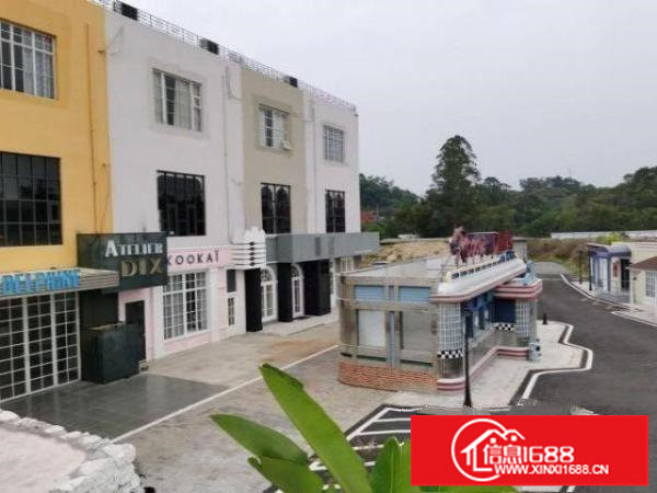 横岗四联精装修花园式独院厂房