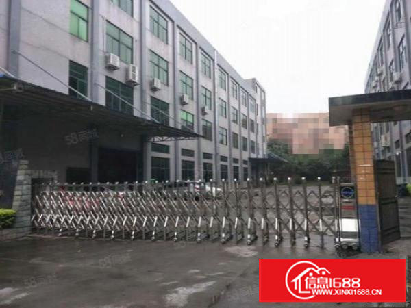 万江水蛇涌新出一楼标准厂房1500平方水电齐全空地大