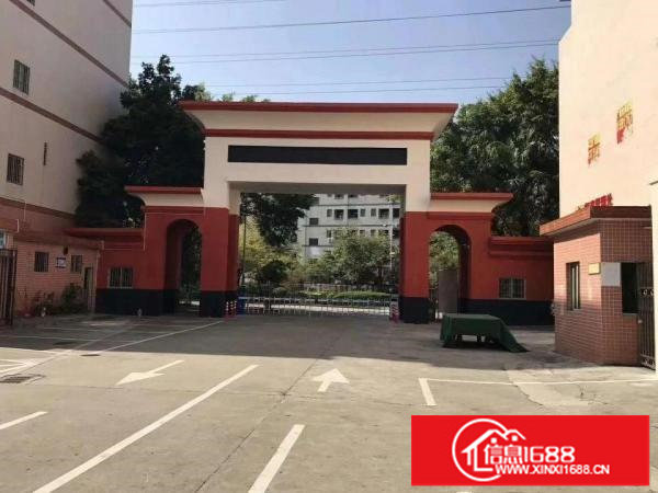 龙岗高新科技园4000至50000平出租