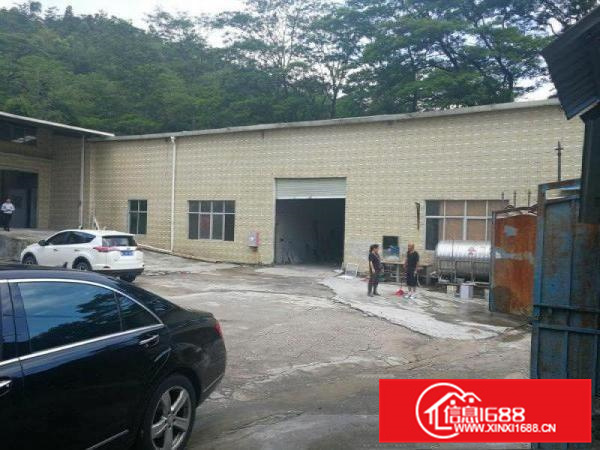 惠阳新圩独栋钢构厂房1300出租可做家私污染行业
