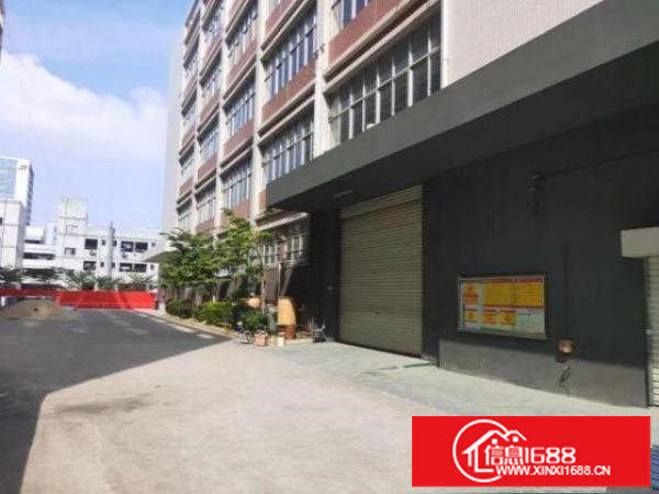 龙华大浪主干道整栋红本12500平独院厂房特价出租