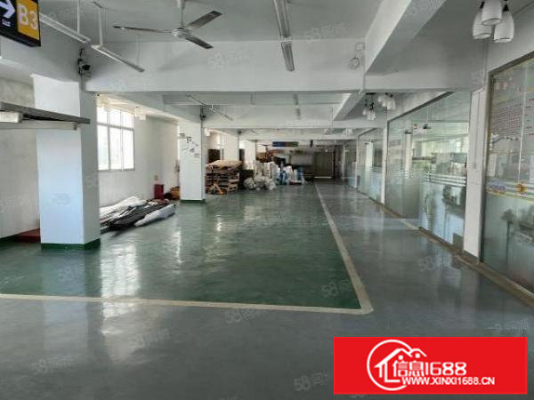 出租龙华大浪新出800平方精装修厂房适合办公贸易仓库等