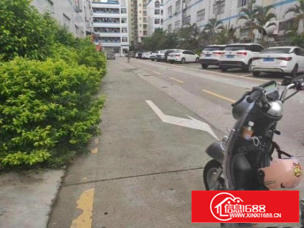 沙井新出厂房1楼2200平带牛角层高6米厂房价格优惠