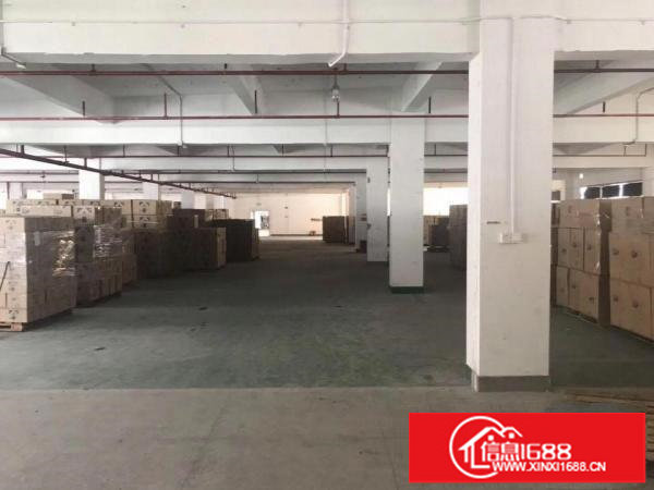 新出布吉丹竹头地铁站D出口3000平米厂房出租分租