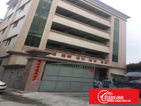 石排下沙原房东标准独院工业厂房3000平方招租（可分租）