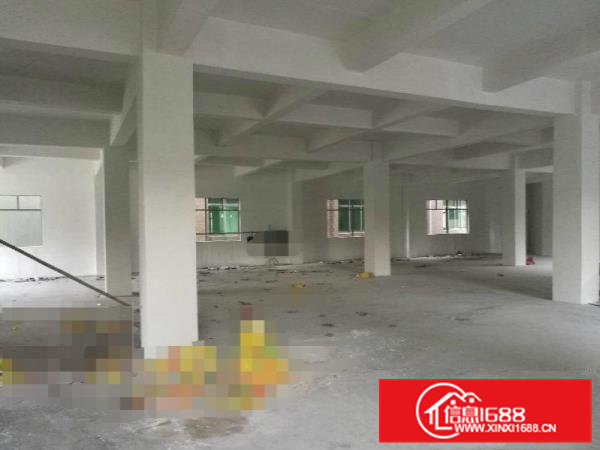 杨屋原房东标准3层900平厂房出租带精装修水电无公摊杂费