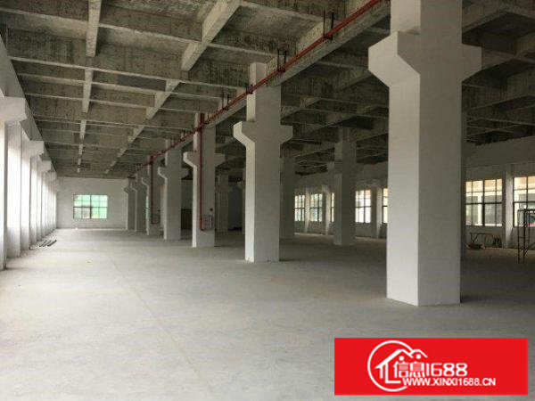 龙岗坪地带牛角厂房2500平米招租