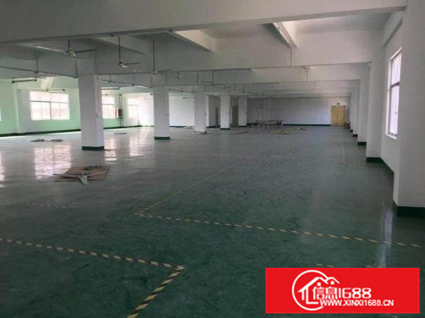 龙岗南约新出独院11000平方，形象好，空地大