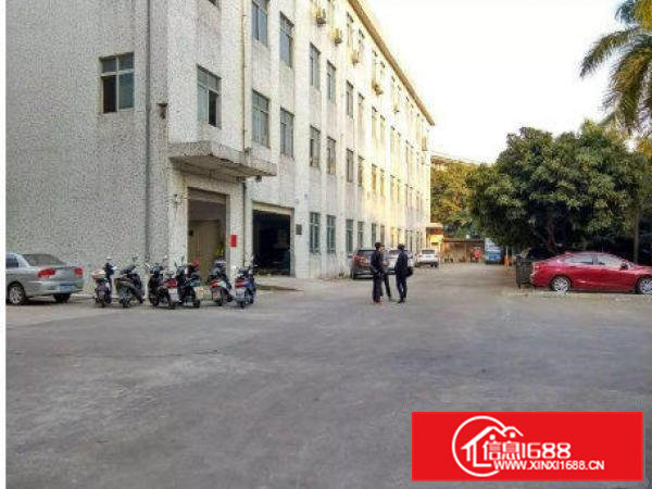 常平九江水新出6000平米4层独院厂房招租