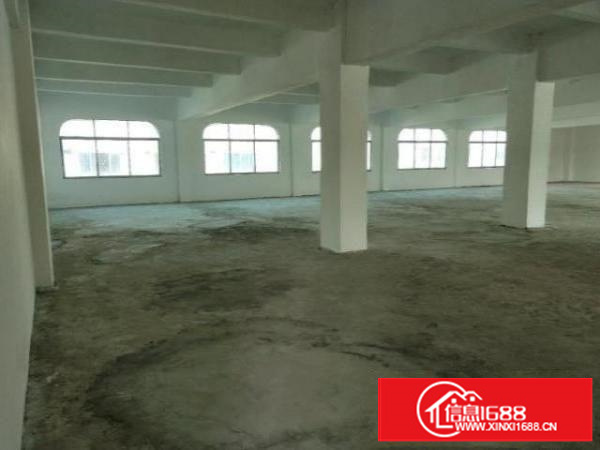 石碣桔洲独门独院标准厂房