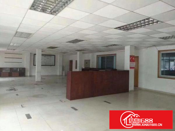 公明超大空地14663平钢构厂房火爆招租