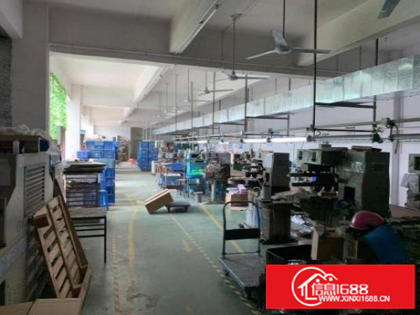 出租龙岗区龙岗中心城附件厂房