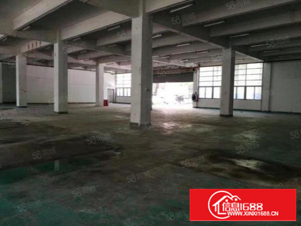 西乡九围簕竹角工业区1600平厂房仓库实际面积出租