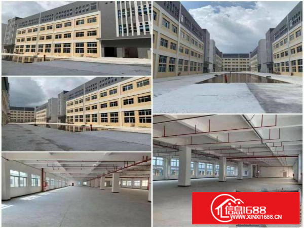 横沥镇原房东标准厂房楼上出租大型工业园区有VOC排放，可办环