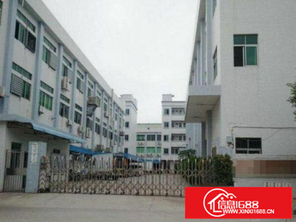 龙岗区嘉华路小独院600方出租，地理位置好