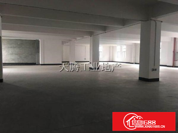 杏坛智富园800方标准工业园配套齐全