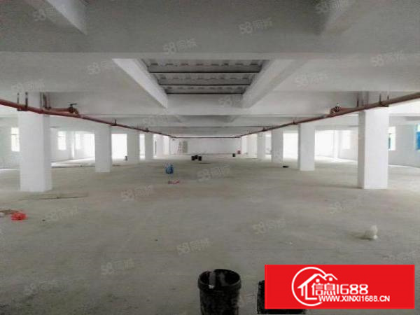 凤岗新出一楼700平厂房原房东厂房园区形象大气空地大