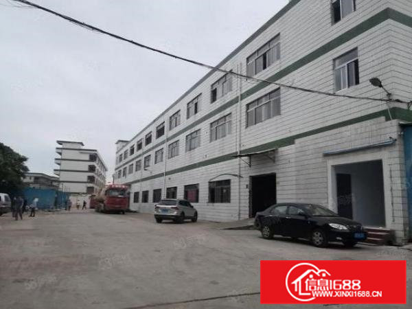 凤岗金凤凰原房东独院厂房出租5000平方500起租1楼带牛角