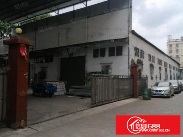 洲村独院厂房2850方！近广州金沙洲！原房东实量！砖墙到顶！