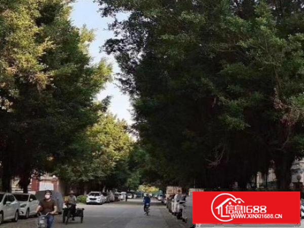 平湖华南城附近厂房出租