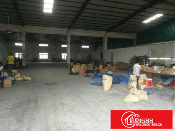 清溪松岗新出钢构独院厂房600平滴水8米超大空地