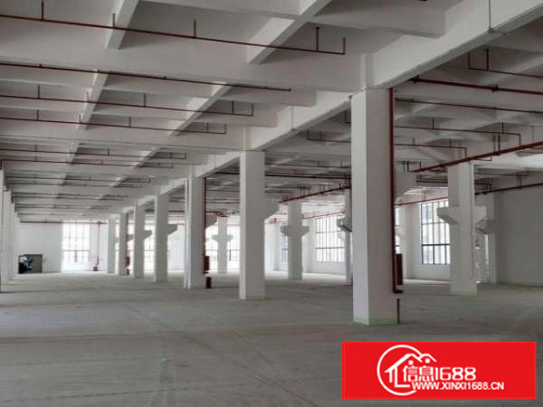 全新标准1招租，形象大气