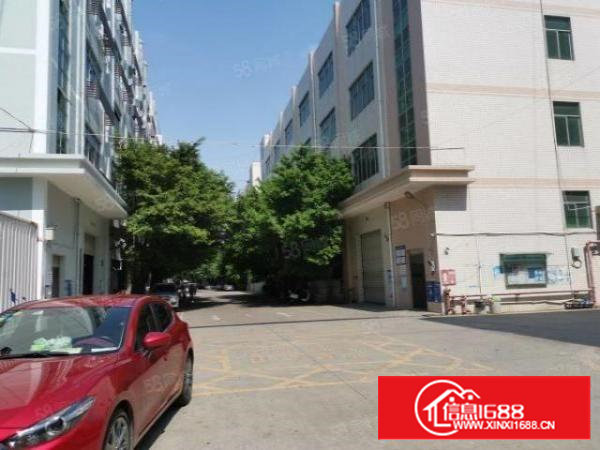 沙井高速路口新出花园式独院6000平方吗，12000平