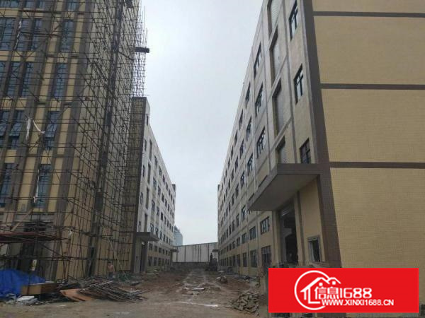 带消防喷淋！各类环评好办！单层面积大！电可过户！带牛角！