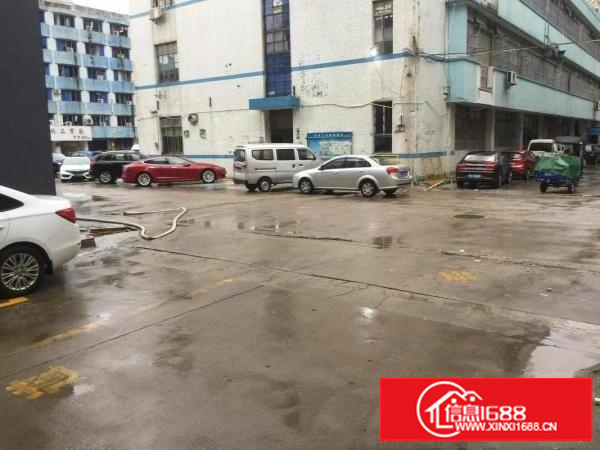 吉华路边坂田天虹对面1楼分租500平方左右