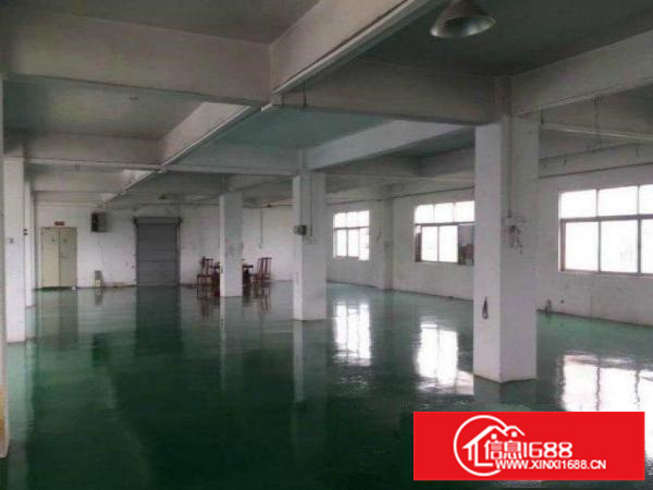 工业区标准厂房1500平招租