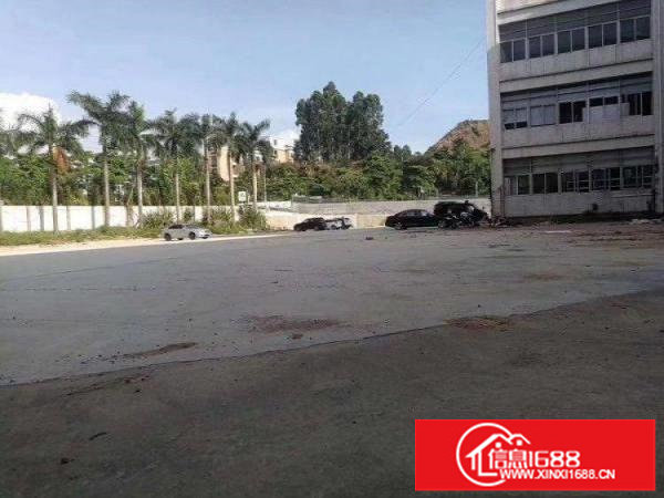 坂田布吉百鸽笼地铁口新出厂房30000平方