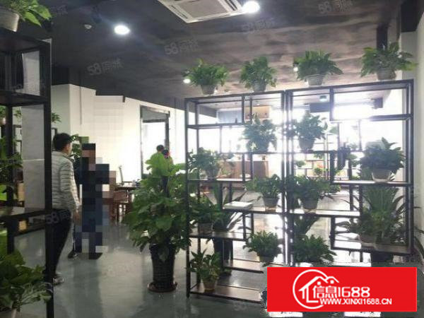 塘厦科苑城新出楼上厂房600平方，适合电商贸易豪华装修