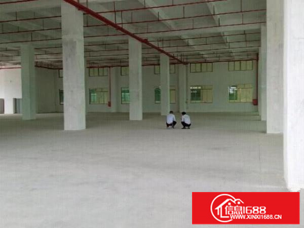 原房东靓盘，可办环评