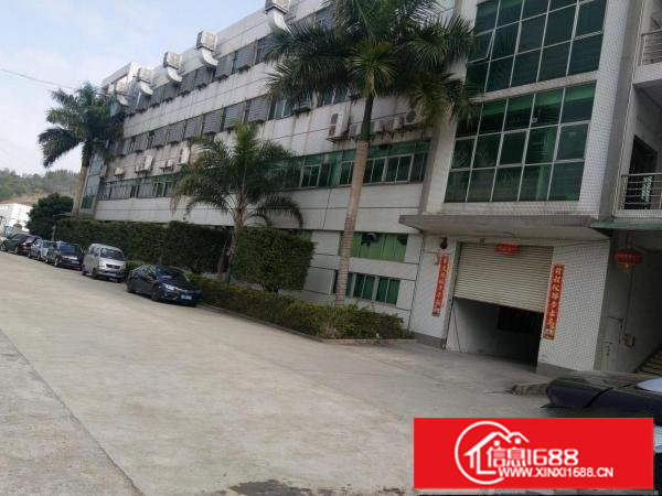 荷坳花园式厂房2500平方出租，800平起分租