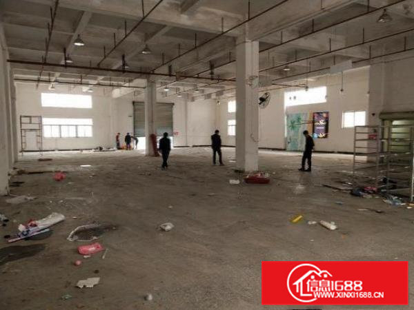 大岭山原房东工业园带装修厂房900平方