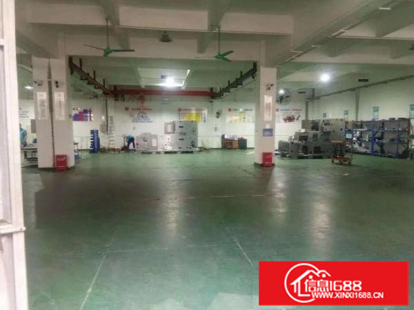 出租布吉百鸽笼标准厂房一楼760平，拎包入住